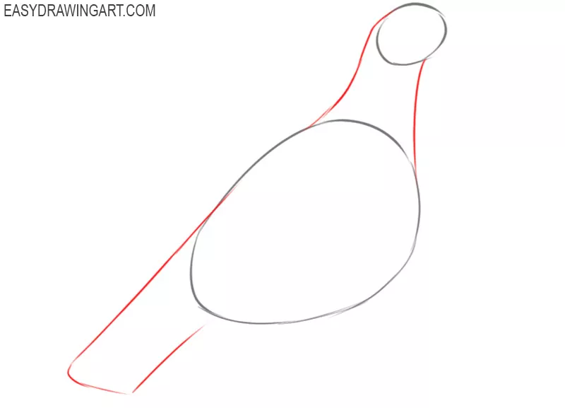 how to draw a pigeon step by step