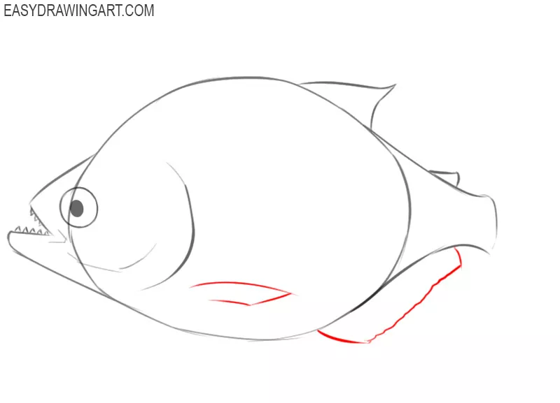 how to draw a piranha easy step by step