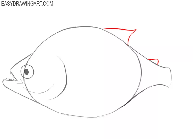 how to draw a piranha easy