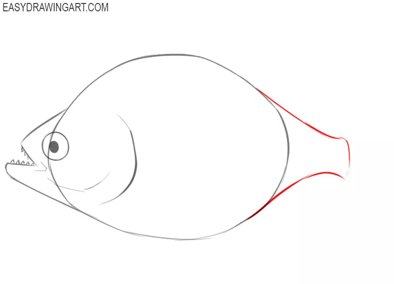 how to draw a piranha fish