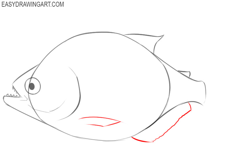 how to draw a piranha easy step by step
