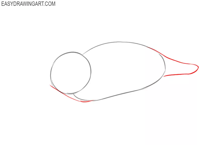 how to draw a platypus cartoon