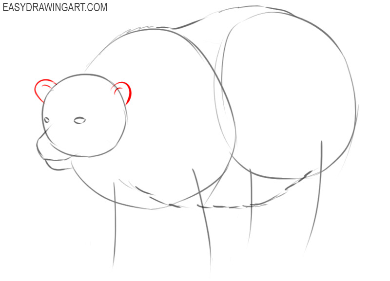 how to draw a polar bear by step