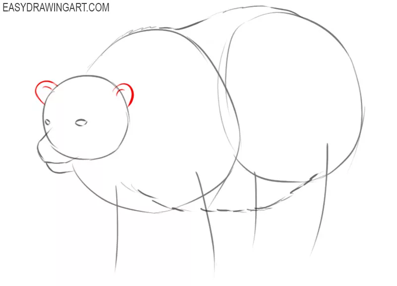 how to draw a polar bear by step