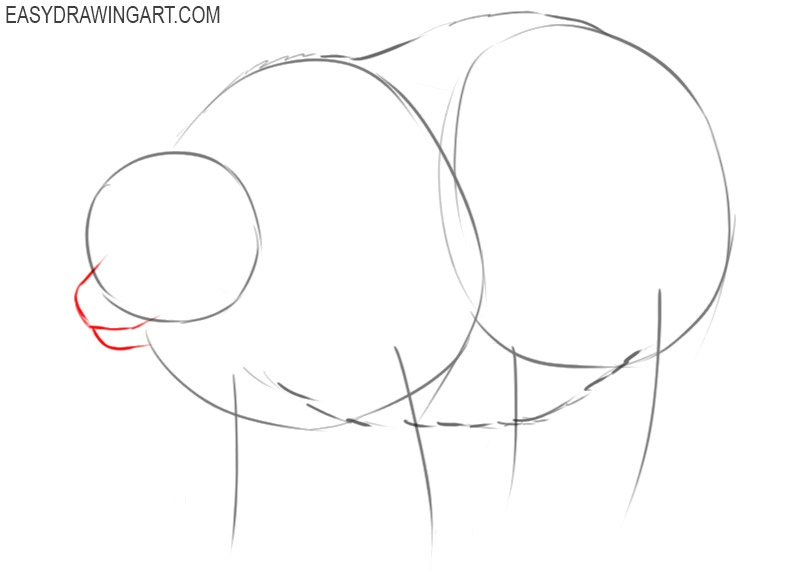 how to draw a polar bear cartoon