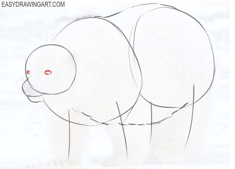 how to draw a polar bear cute and easy
