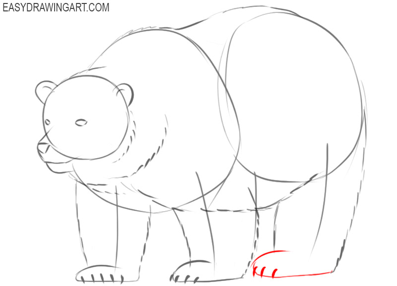 how to draw a polar bear outline
