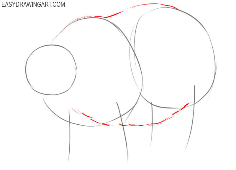 how to draw a polar bear for kids