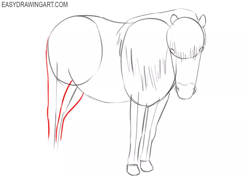 how to draw a pony easy step by step