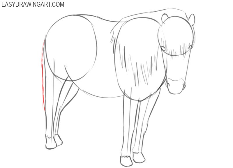 5100 Pony Drawing Illustrations RoyaltyFree Vector Graphics  Clip Art   iStock