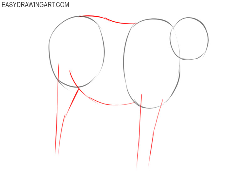 how to draw an animal pony