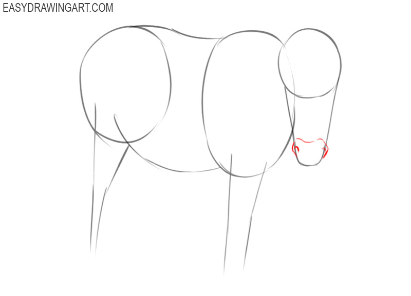 how to draw a pony by pencil
