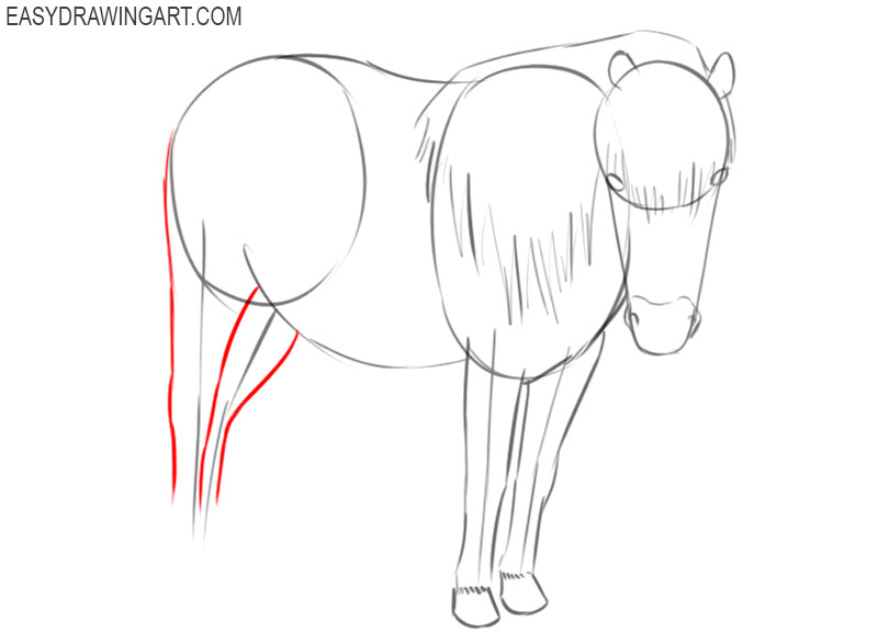 how to draw a pony easy step by step