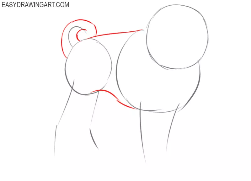 how to draw a pug cartoon