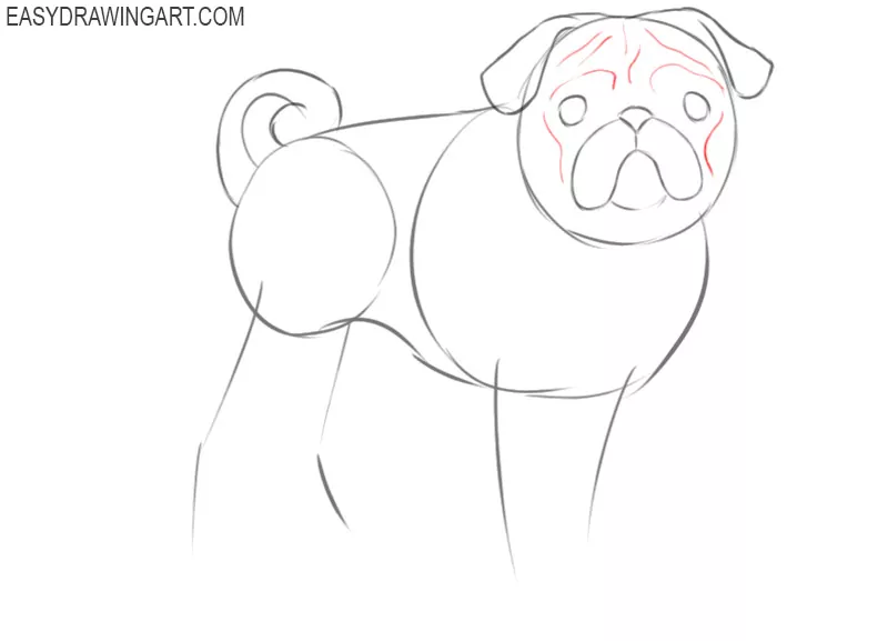 how to draw a pug dog