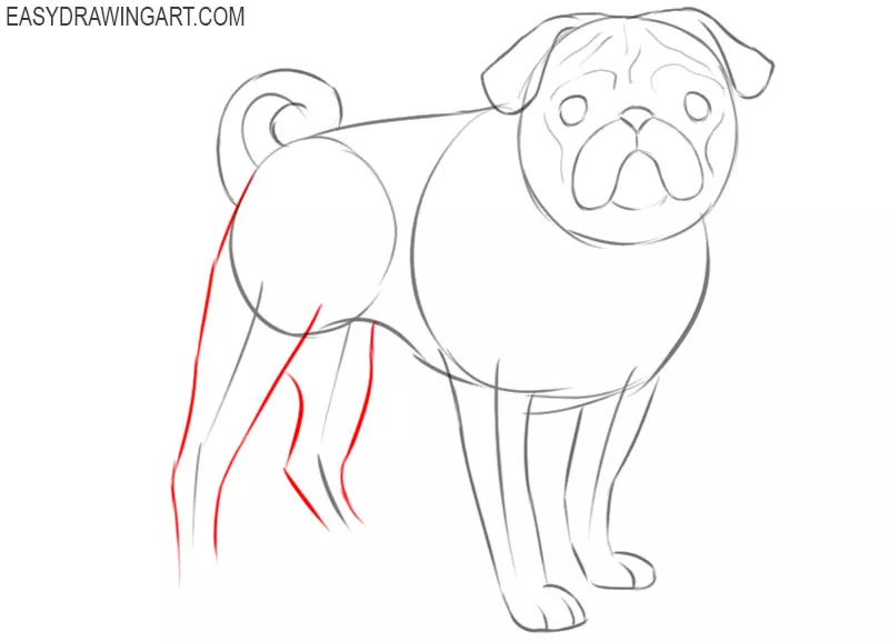 how to draw a pug easy step by step