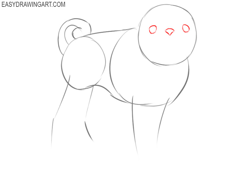 how to draw a puggle