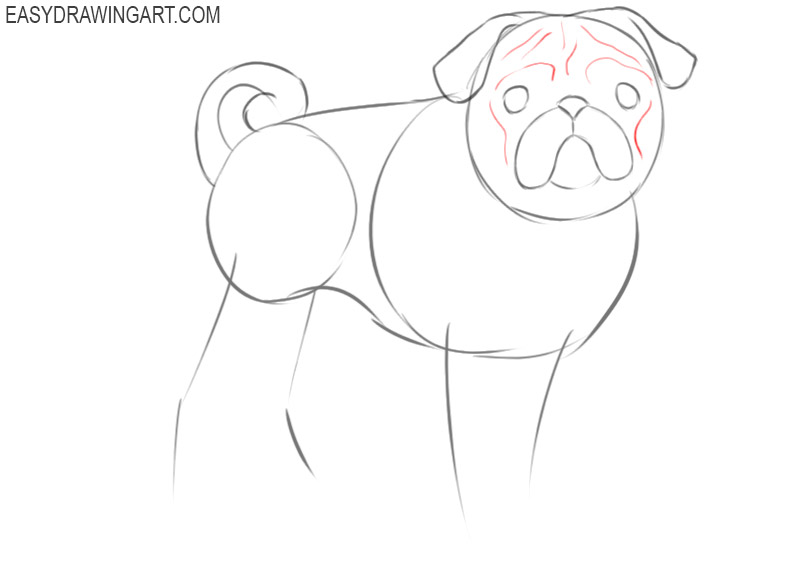 how to draw a pug dog