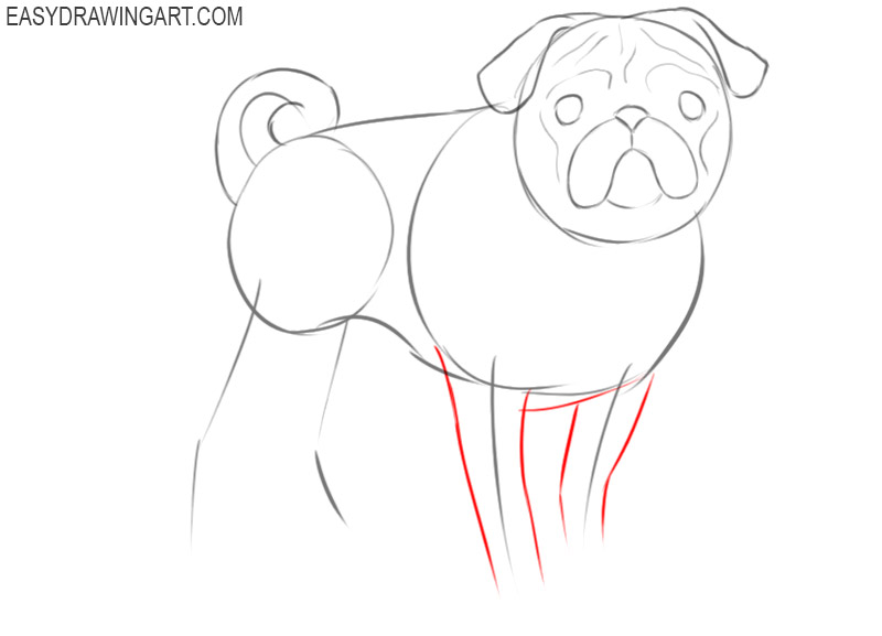 how to draw a detailed pug