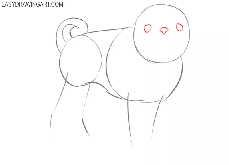 how to draw a puggle