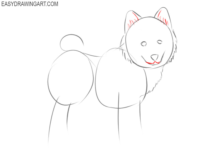 how to draw a puppy by step by step