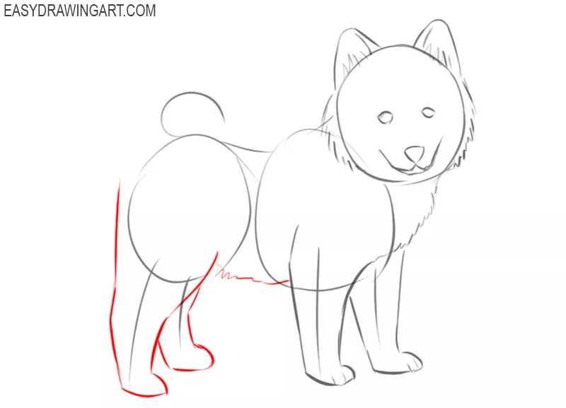 How To Draw A Cute Dog Easy Drawing Art