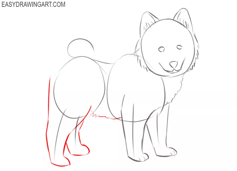 how to draw a puppy dog step by step