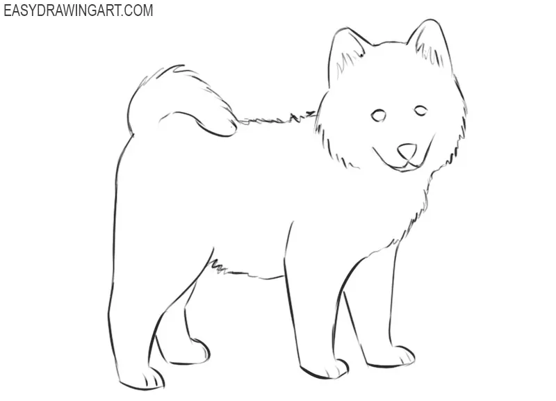 How To Draw A Cute Dog Easy Drawing Art