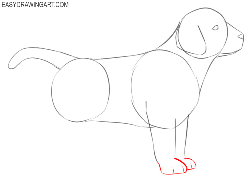 how to draw a puppy easy step by step for beginners
