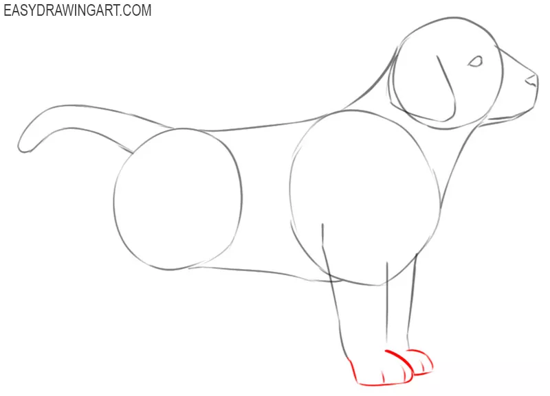 How To Draw A Puppy, Step by Step, Drawing Guide, by Dawn - DragoArt