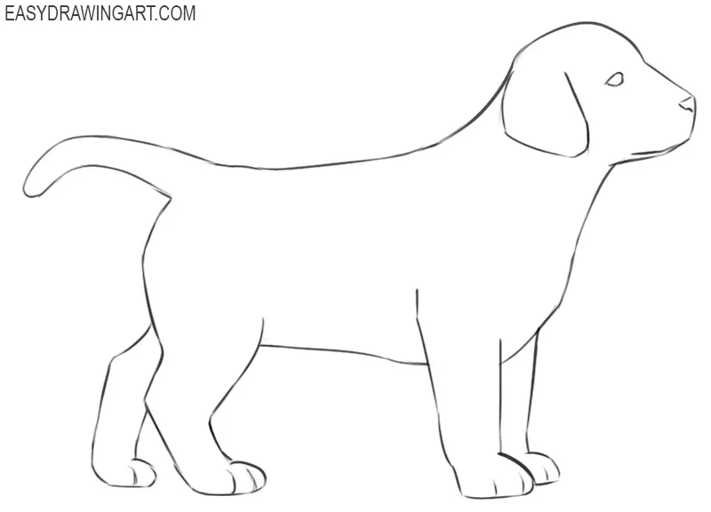 how to draw a puppy images