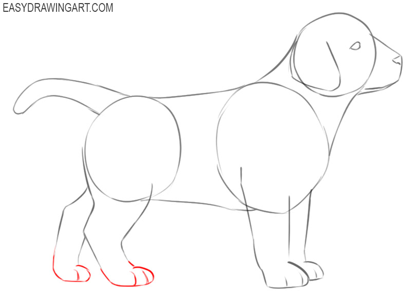 how to draw a puppy in steps