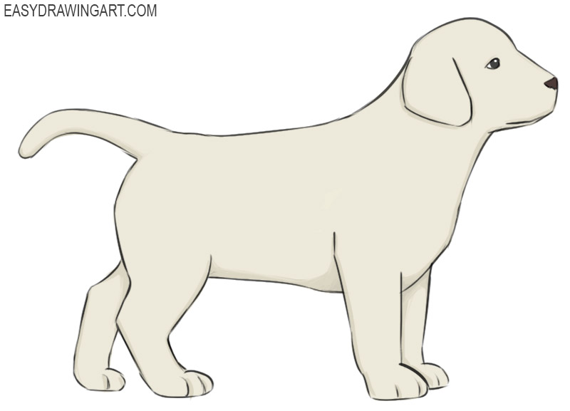 how to draw a puppy