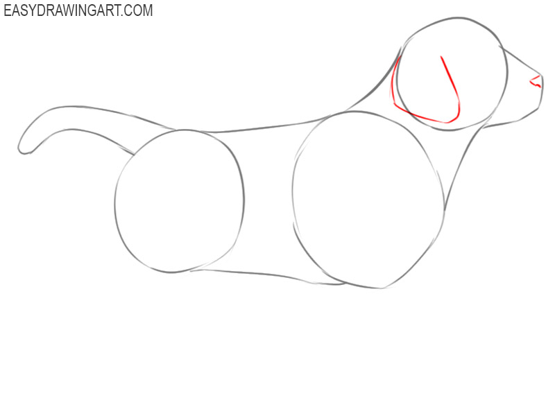 how to draw a puppy step by step for beginners