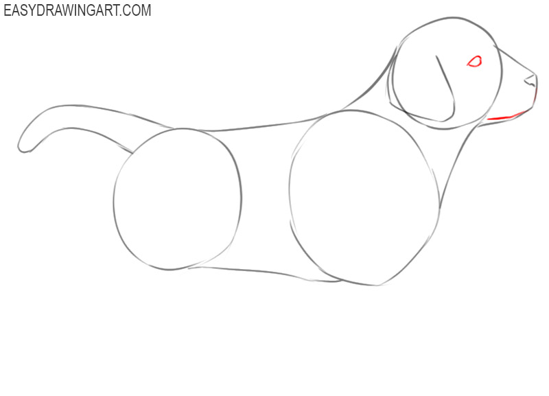how to draw a puppy dog