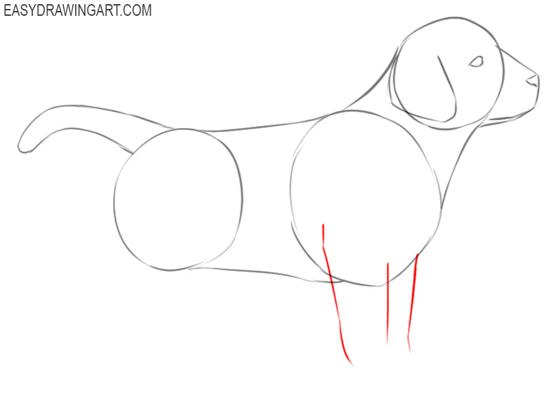 how to draw a puppy cute and easy