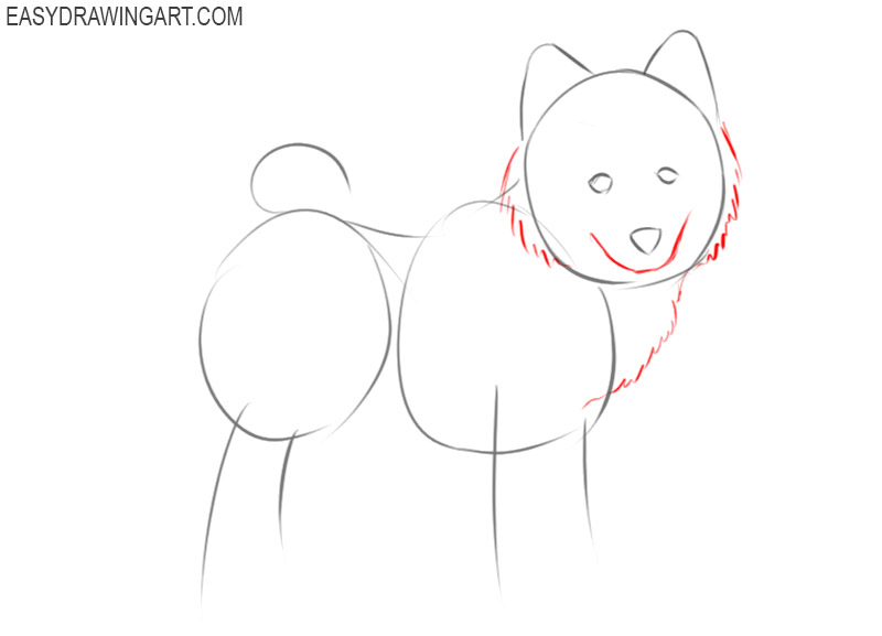 how to draw a puppy step by step for beginners