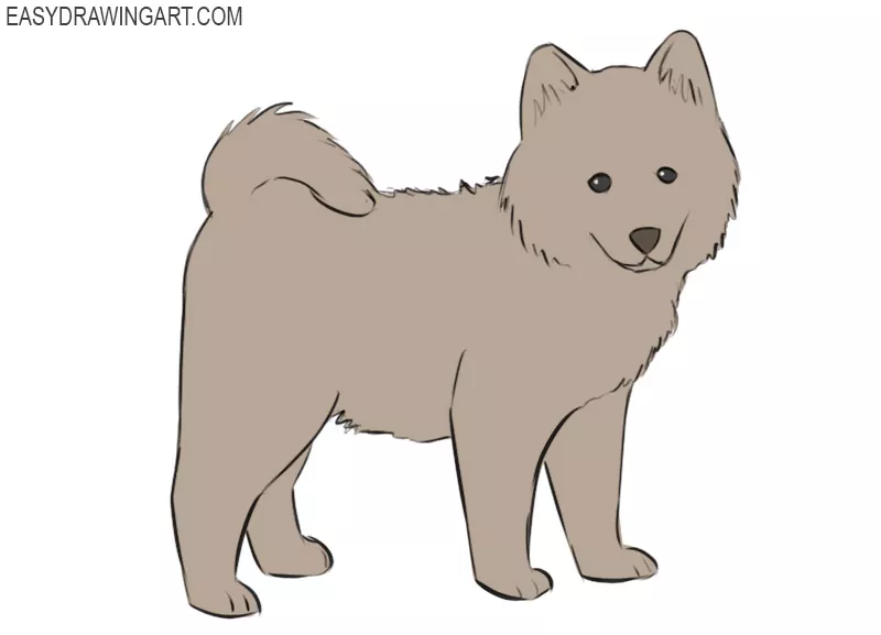 drawings of cute puppies