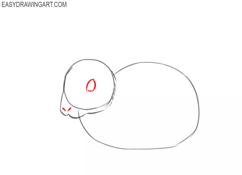 how to draw a rabbit and colour