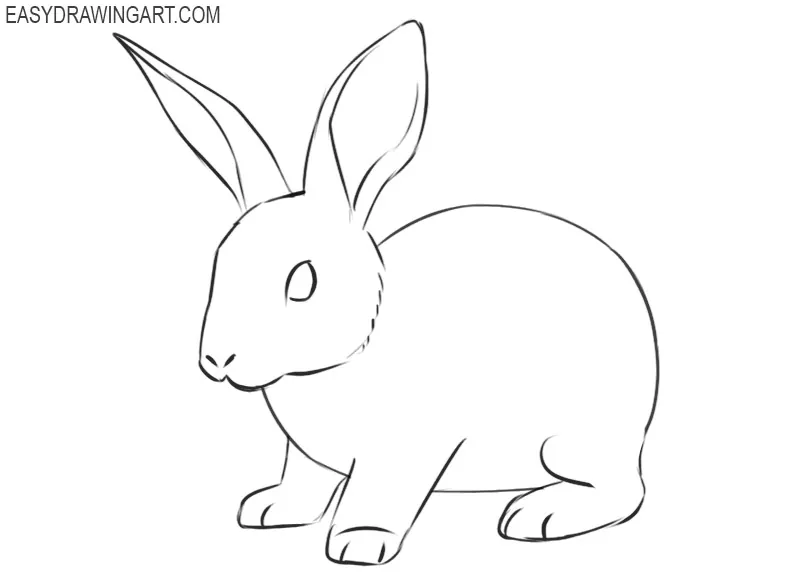 how to draw a rabbit easily