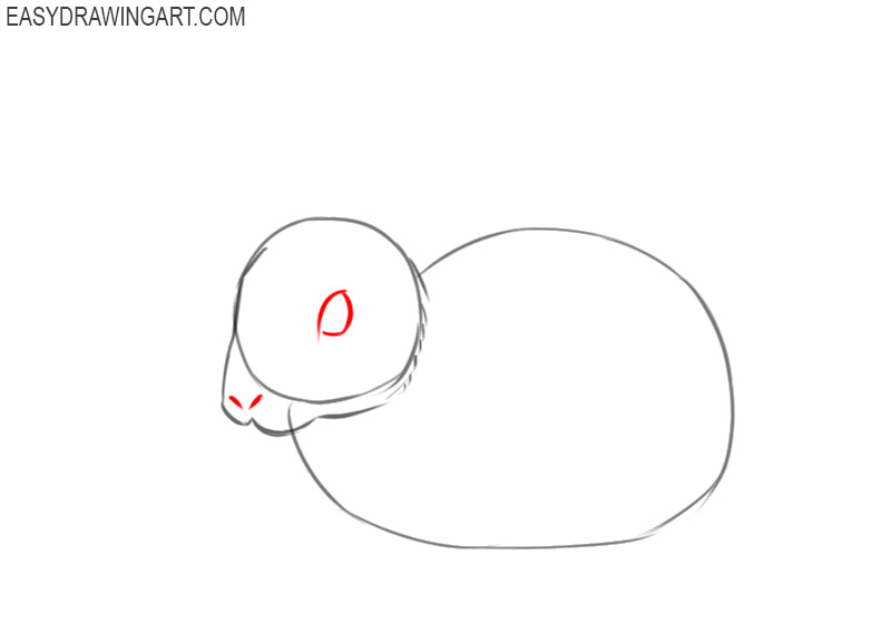 how to draw a rabbit and colour