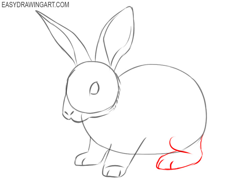 instructions of how to draw a rabbit