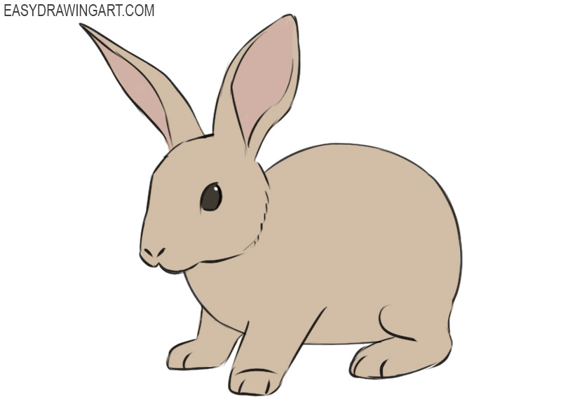 how to draw a rabbit