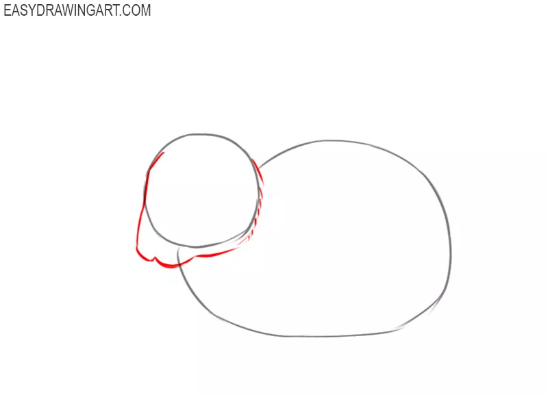 how to draw a rabbit step by step