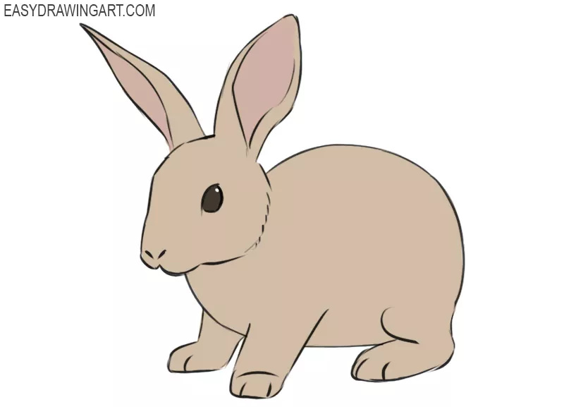 Rabbit simple drawing - coveraceto