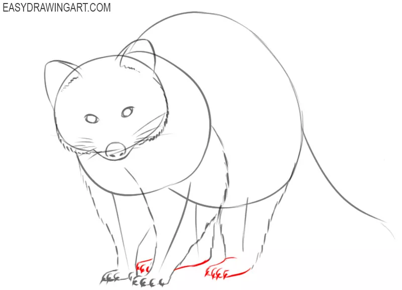 how to draw a cool raccoon