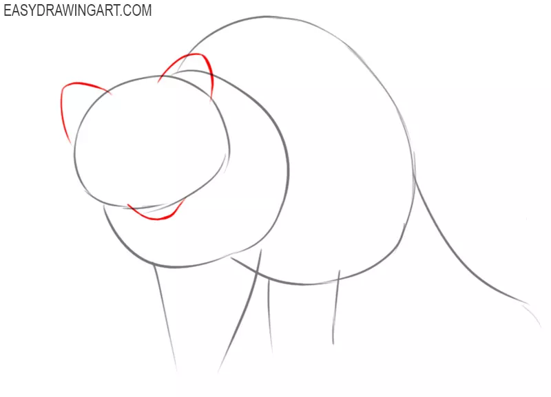 how to draw a raccoon step by step easy