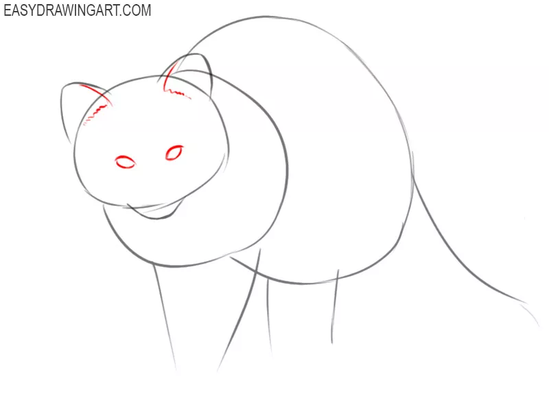 how to draw a raccoon cartoon