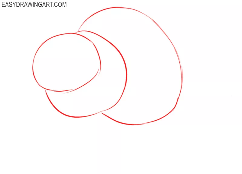 how to draw a raccoon step by step