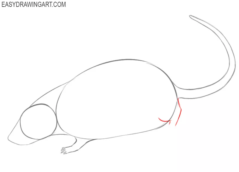 how to draw a rat cute